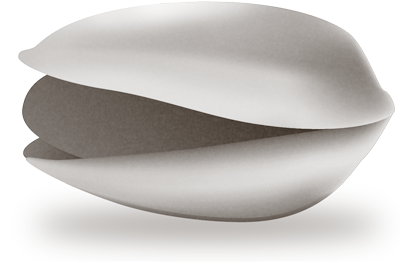 One big pistachio nut